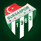 Bursaspor icon