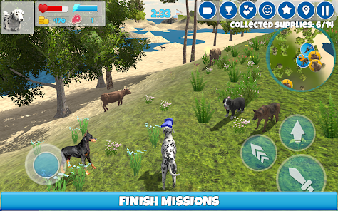 Screenshot image