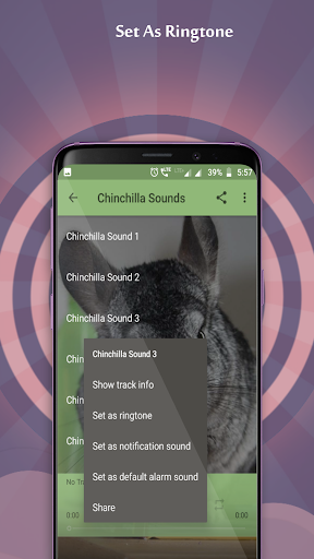 Chinchilla Sounds Screenshot 3 - AppWisp.com