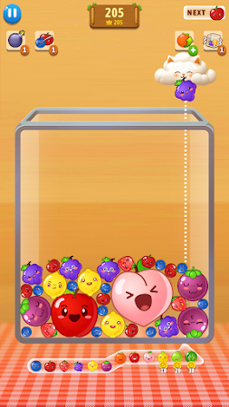 Game screenshot Watermelon Up-Juicy Fruit Drop apk download