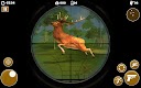 screenshot of Wild Bear Hunt: Hunting Games