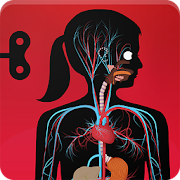 The Human Body by Tinybop For PC – Windows & Mac Download