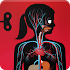 The Human Body by Tinybop 3.0.6