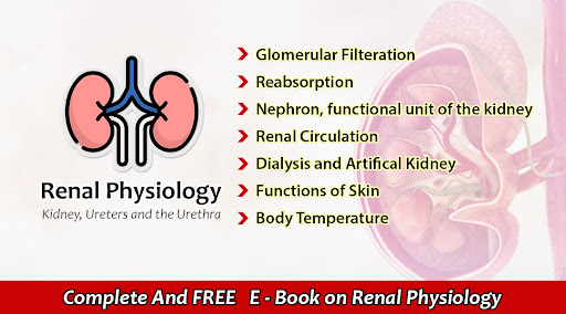 Android application Renal Physiology Kidney Diseas screenshort