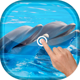 Magic Wave - Cute Dolphin LWP icon