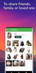 Cat Stickers for WhatsApp Apk İndir 5
