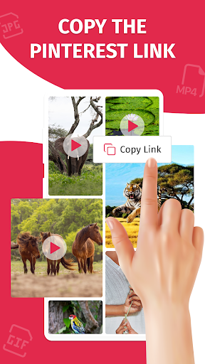 Pinterest Video Downloader