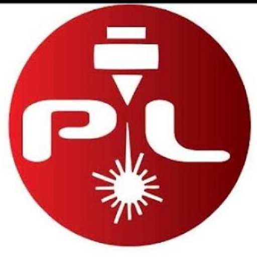 Punto Laser logo