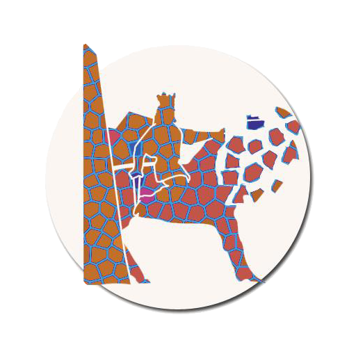 e-Radauti logo