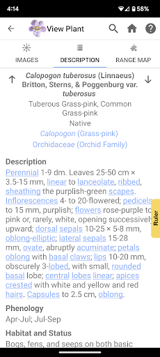 Screenshot of Flora of Virginia