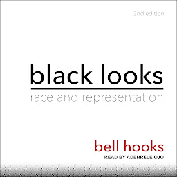 Icon image Black Looks: Race and Representation 2nd Edition