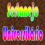 TOP100 Sertanejo Universitário icon