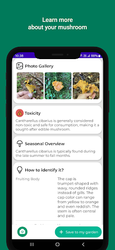 Mushroom identifier Screen 2