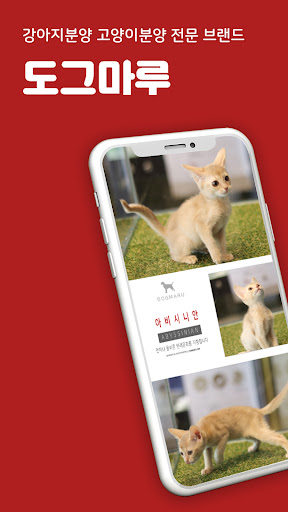 Android application 강아지분양 고양이분양 도그마루 애견분양 최저가분양 screenshort