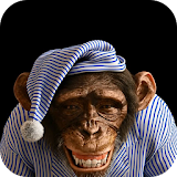 3D Monkey Live Wallpaper icon