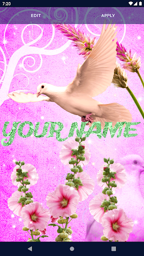 Dove Romantic Live Wallpaper Screen 2