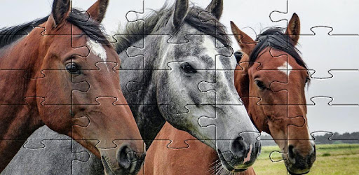 Cavalos Jogos de Puzzel: Quebra Cabeças Cavalos grátis::Appstore  for Android