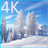 Winter 4K LWP icon