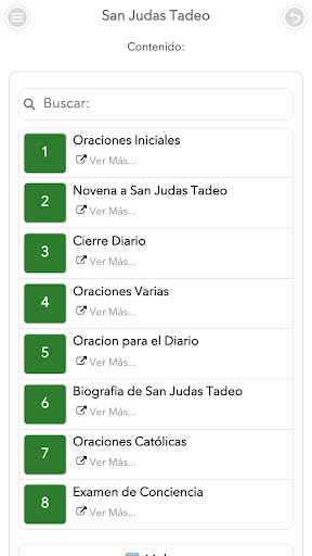 San Judas Tadeo Screen 2