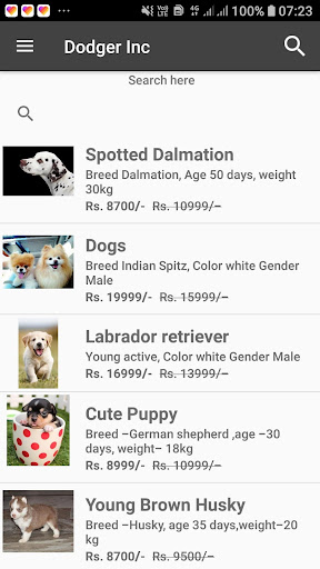 Dodger Inc - Online Pet Shop