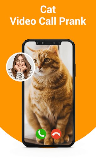 Download Cute Cat Video Call Free For Android - Cute Cat Video Call Apk  Download - Steprimo.Com