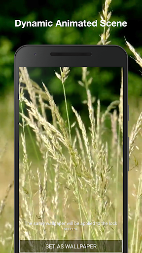 Spring Meadow Live Wallpaper Screen 2