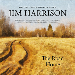 Icon image The Road Home