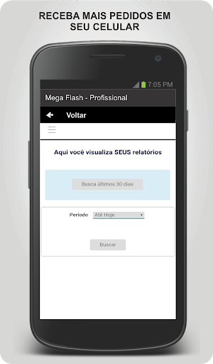 MS Entregas- Profissional Screen 3