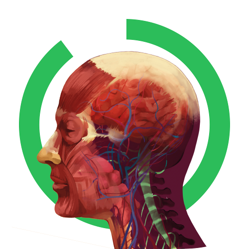 Arloon Anatomy 1.4 Icon