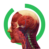 Arloon Anatomy icon