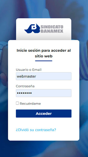 Sindicato Banamex Org Screen 2