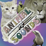 Kids games : Animal Sounds icon