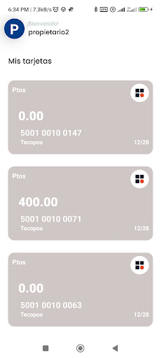 Tecopay Screen 2