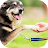 Scarica addestramento del cane APK per Windows