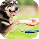 犬の訓練 - Androidアプリ