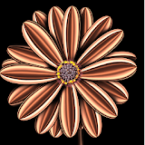 Rose Gold 3D Wallpaper icon