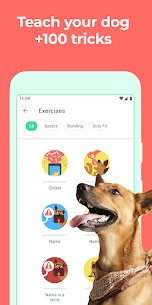 Dogo — Puppy and Dog Training v7.19.0 APK (Latest Version) Free For Android 1