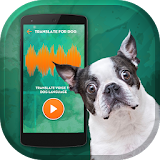 Dog Simulator Translator icon