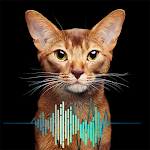 Cover Image of 下载 Meow Sound Effect  APK