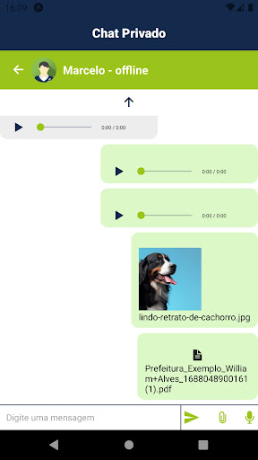 Vox Chat Screen 2