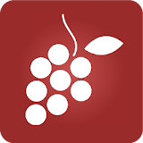 Wine Manager (Managing cellar) icon