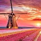 Windmills in Holland Download on Windows