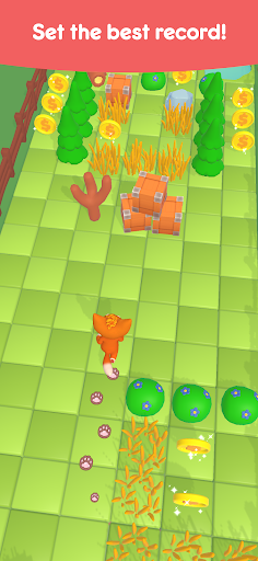 Cat & Dog Runaway Screen 3