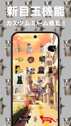 猫ミーム Cat memes