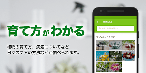 GreenSnap - 植物・花の名前が判る写真共有アプリ 2.22.1 screenshots 4