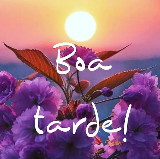 Mensagens de Boa Tarde Screen 2