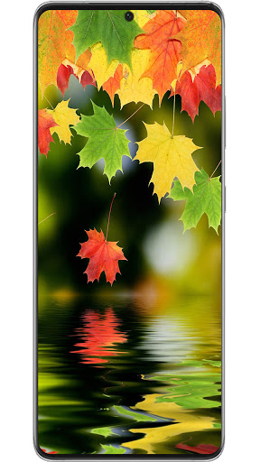 Theme for Samsung Galaxy S21 U Screen 3