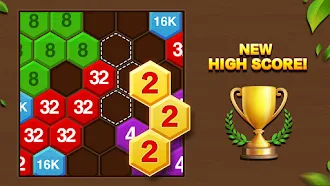 Game screenshot ヘキサパズル - 数字ゲーム hack