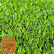green grass wallpaper Download on Windows