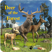 Deer of the Forest